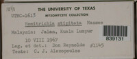 Image Associated With the Occurence